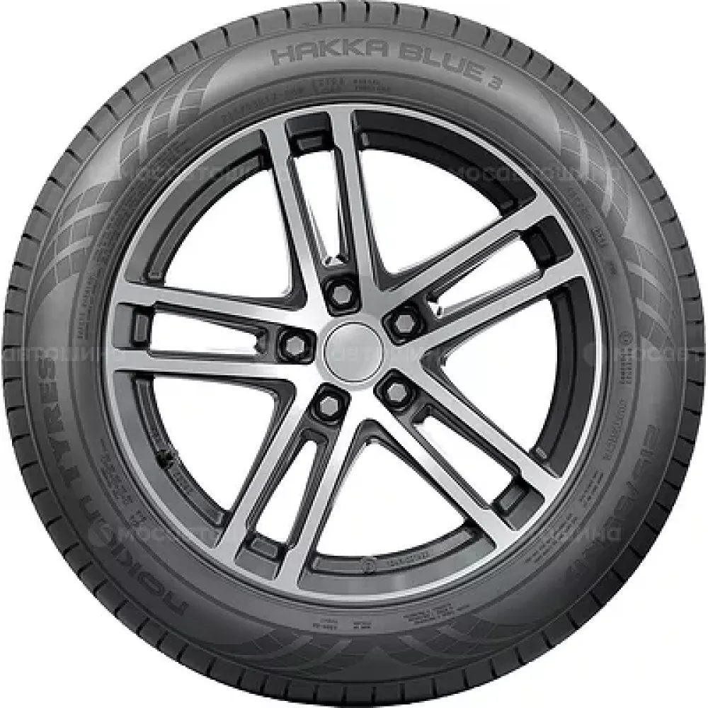 Nokian Hakka Blue 3 205/55 R17 95V XL