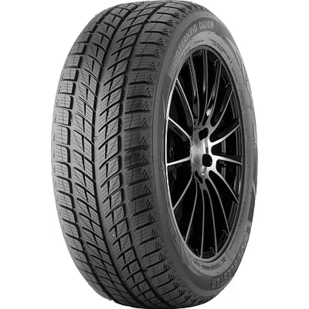 Doublestar DW09 255/50 R19 107T