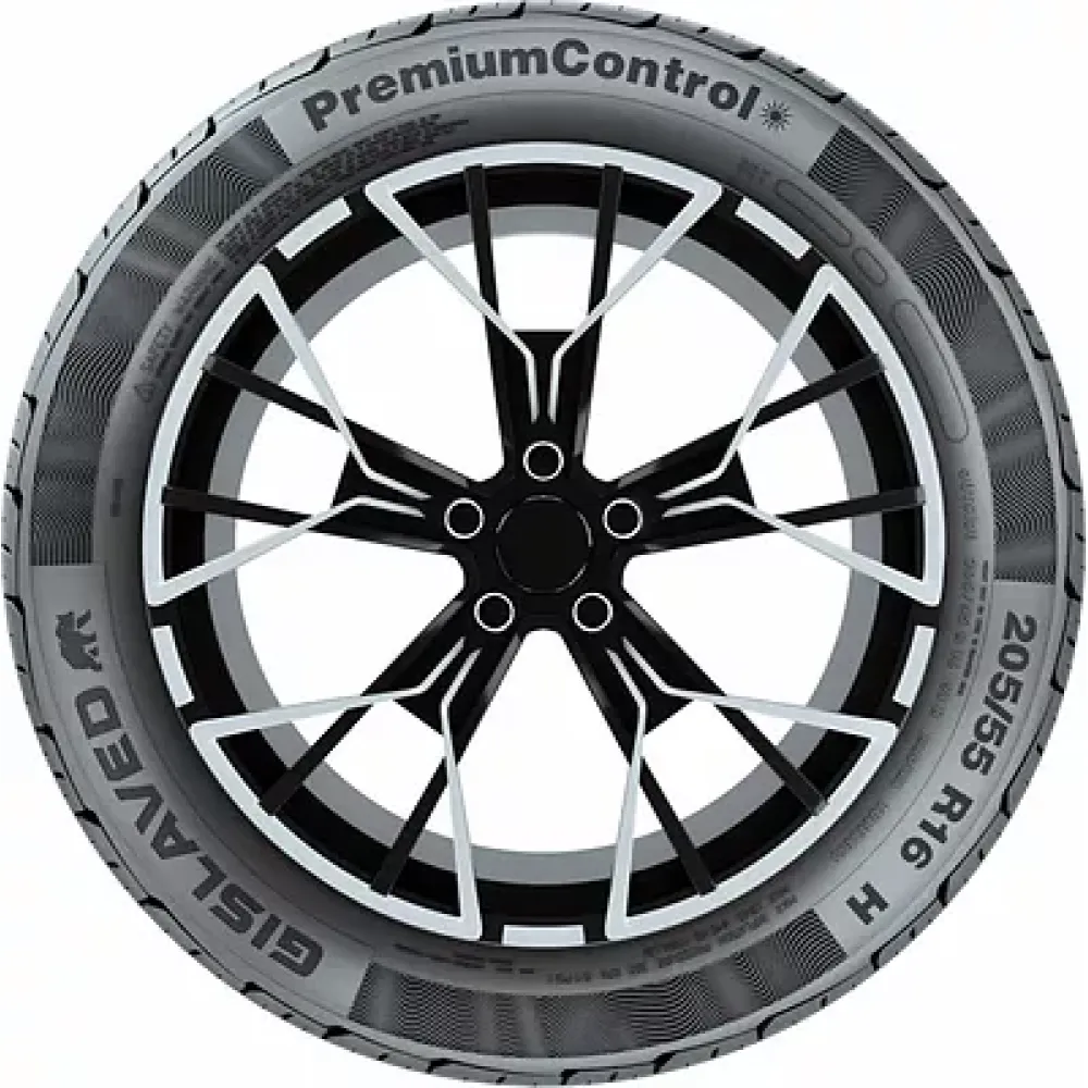 Gislaved Premiumcontrol 215/55 R16 93V