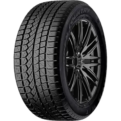 Toyo Open Country W/T 255/70 R16 111T