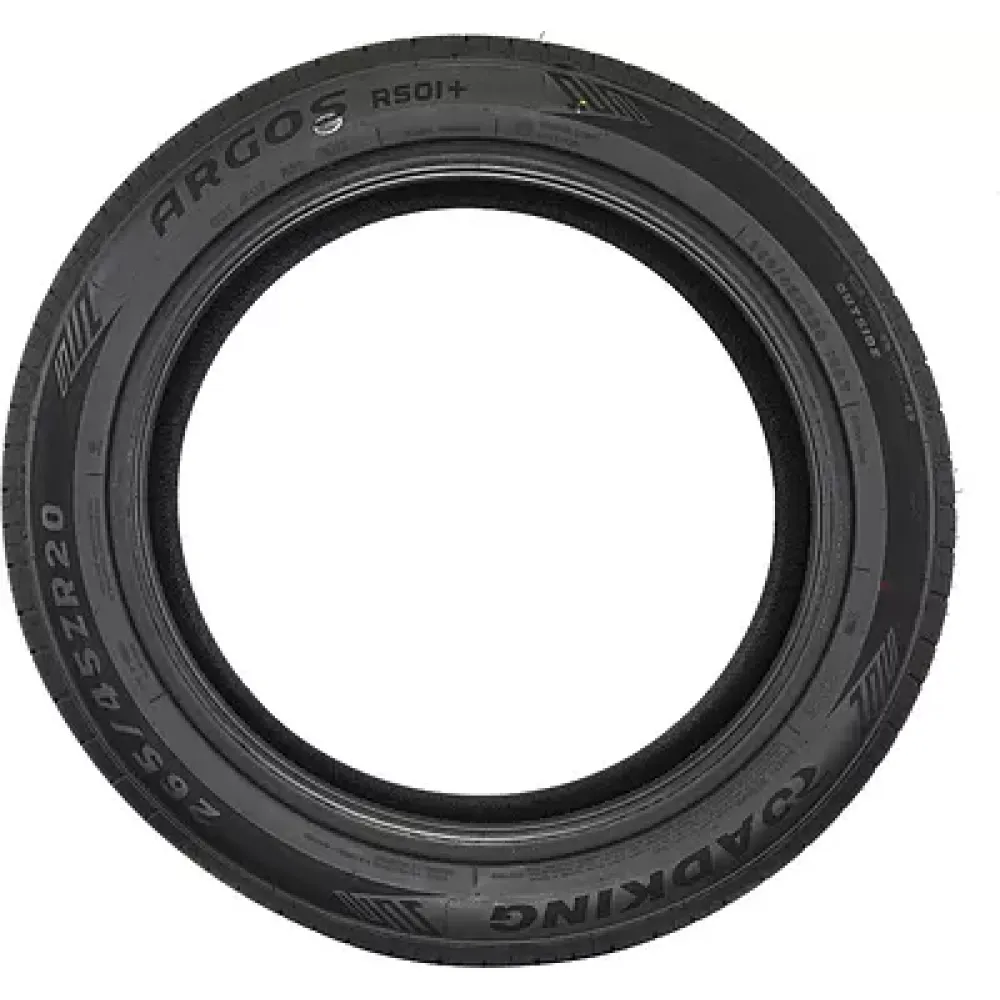 Roadking Argos RS01 275/50 ZR20 113Y XL