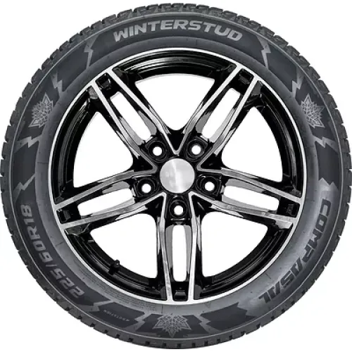 Compasal Winter Stud 235/55 R20 102T